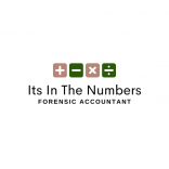 Logo Its in the Numbers - forensic accounting.